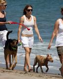 Jessica Biel Walks Her Dogs on the Beach in Malibu