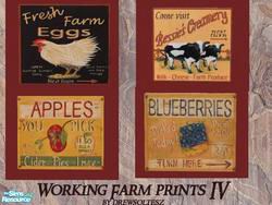 th_16686_Working_Farm_Prints_IV_122_453lo.jpg