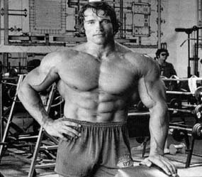 th_98762_arnold_122_389lo.jpg